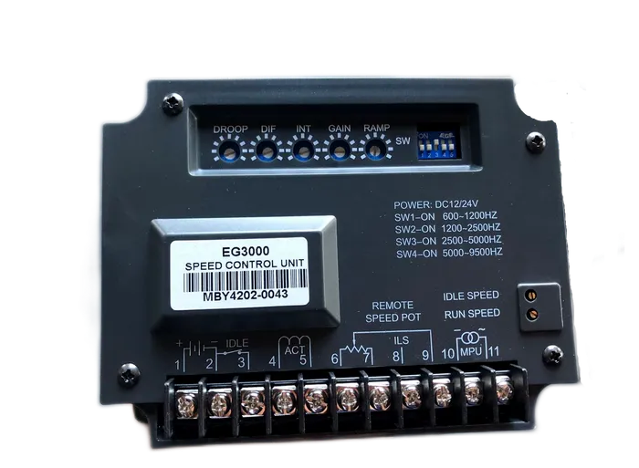 IEP Powerproducts Replacement Speed Controller — EG3000