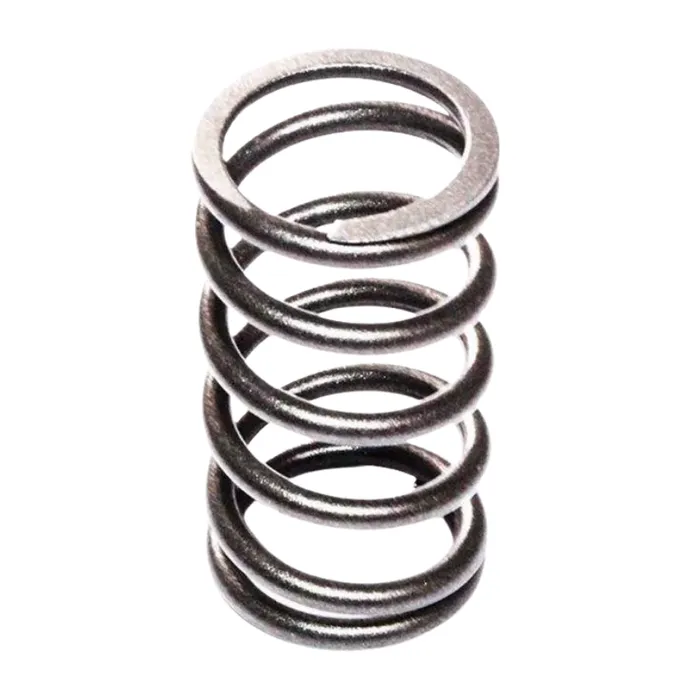 KMP Outer Exhaust Valve Spring — T400752 GP