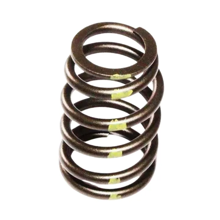 KMP Valve Spring — T417479 GP