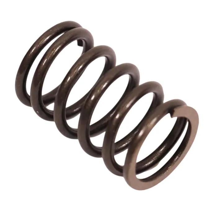 KMP Valve Spring — T417515 GP
