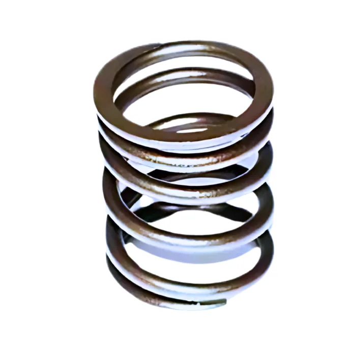 KMP Valve Spring — T417880 GP